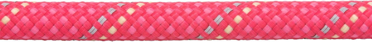 High Visibility Reflective Dog Leash with Carabiner, Pink