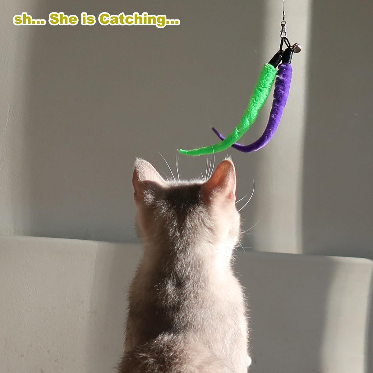11-Piece Interactive Cat Feather Wand Toy Set for Indoor Cats