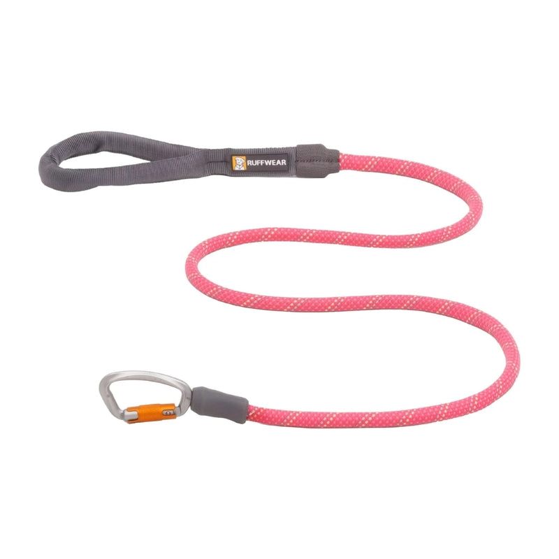 High Visibility Reflective Dog Leash with Carabiner, Pink