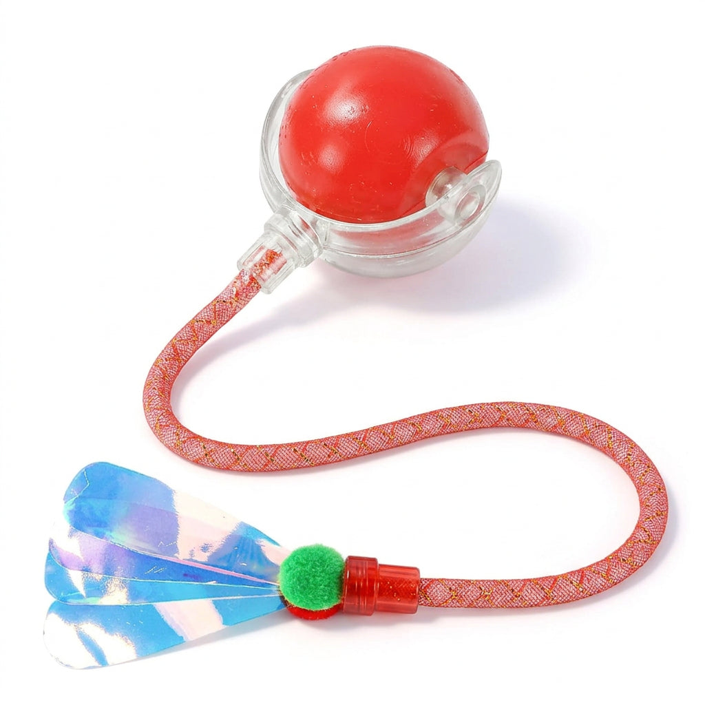 Cat Toys & Activities