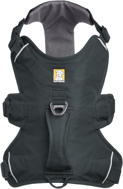 All Day Hiking Dog Support Harness with Lift Handle, Gray