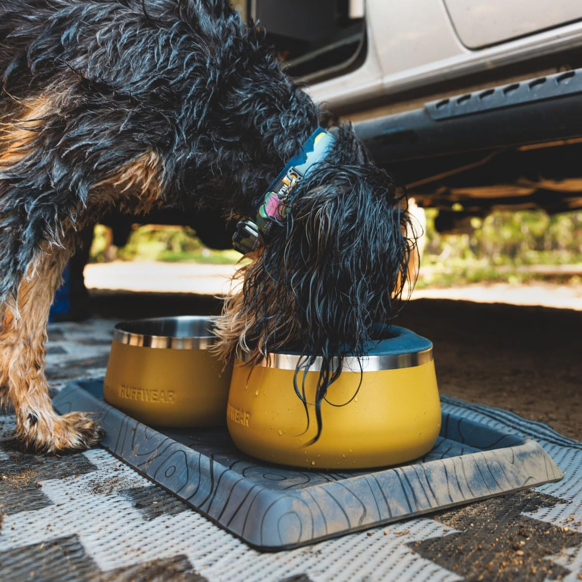Rust Resistant Stainless Steel Dog Food & Water Bowl, Tan