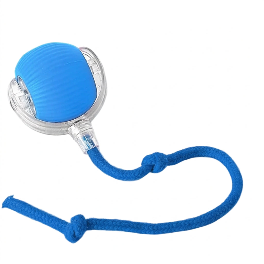 Automatic Interactive Motion Cat Ball Toy for Indoor Play, Blue