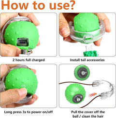 Interactive Motion Cat Ball Toy with Chirping Sounds, Green