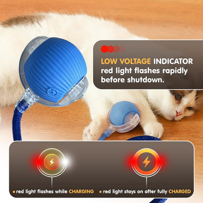 Automatic Interactive Motion Cat Ball Toy for Indoor Play, Blue