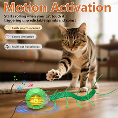 Interactive Motion Cat Ball Toy with Chirping Sounds, Green