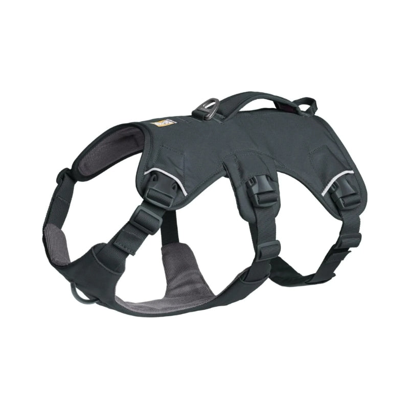 All Day Hiking Dog Support Harness with Lift Handle, Gray